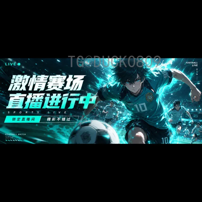 FIFA世界杯新闻数据库：连接过去与未来的足球信息枢纽